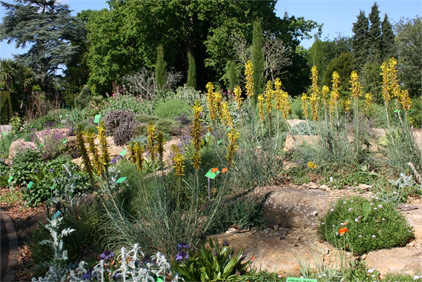 European Mediterranean Region at Bristol University Botanic Garden